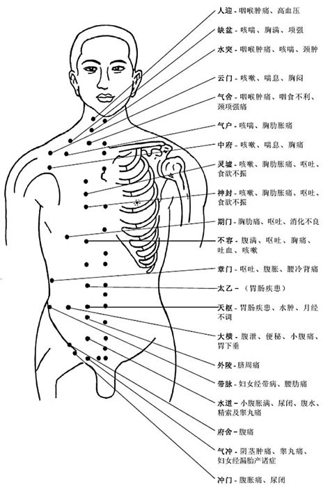 人身穴位圖|人體穴位圖（帶穴位功能主治說明）